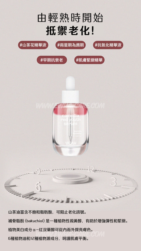 山茶花抗氧青春精華